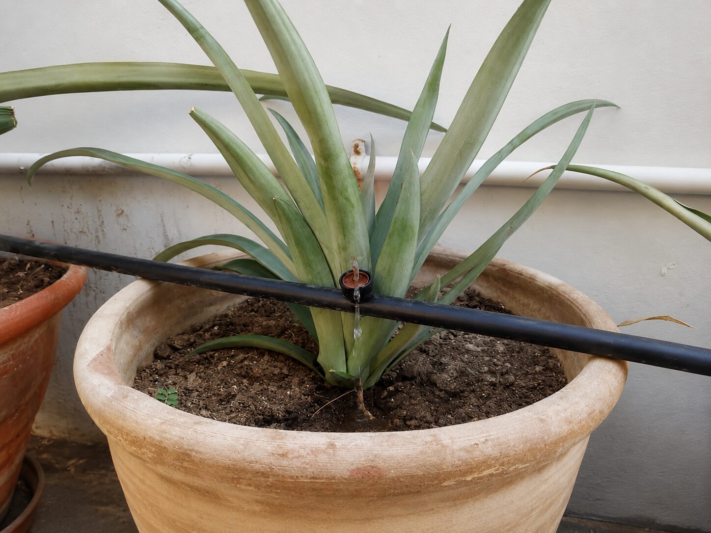 Rooftop pot drip irrigation Karachi – Mukhlis Fertigo