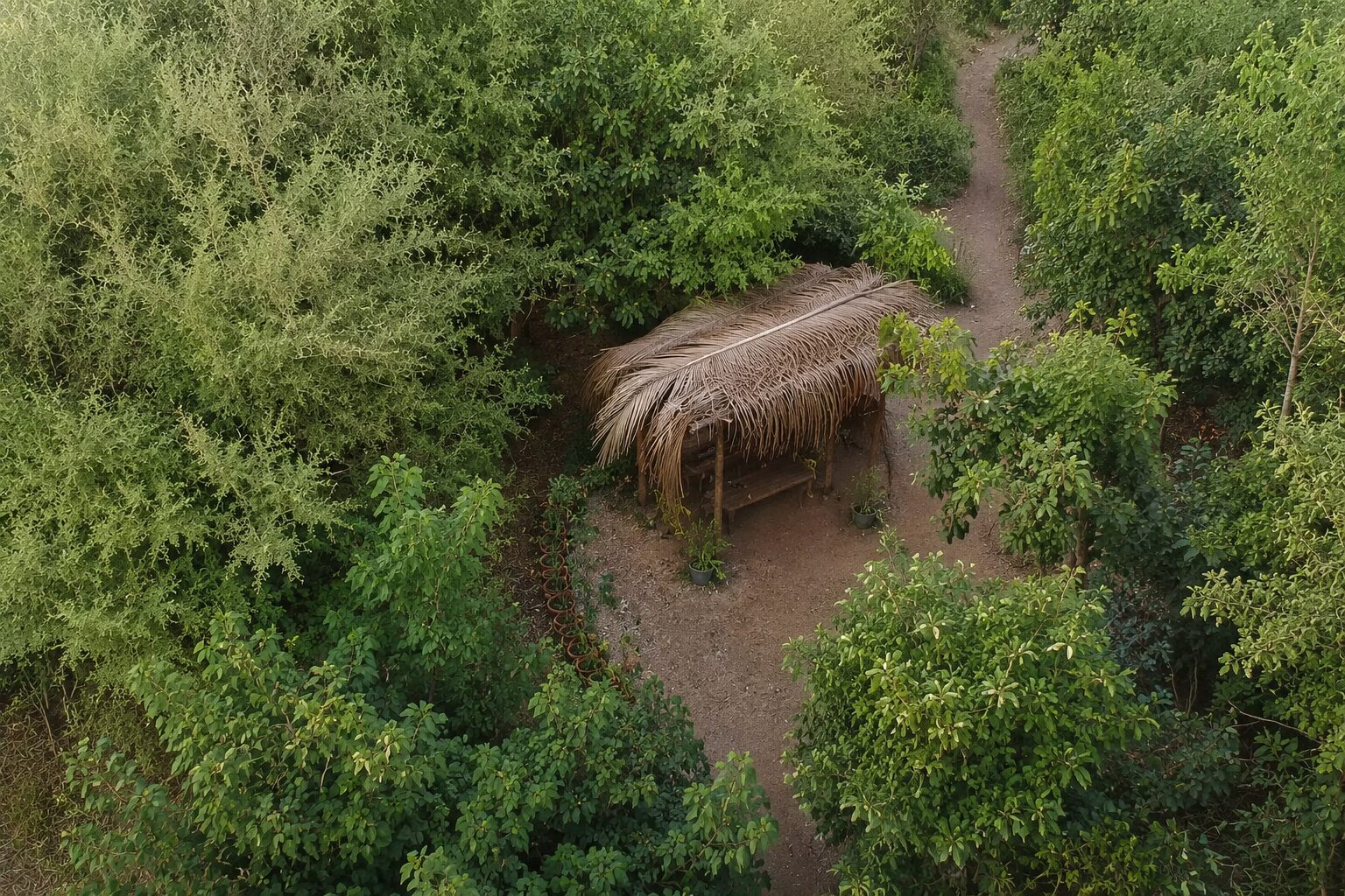 Projects 16 Bholari Base urban forest landscaping project