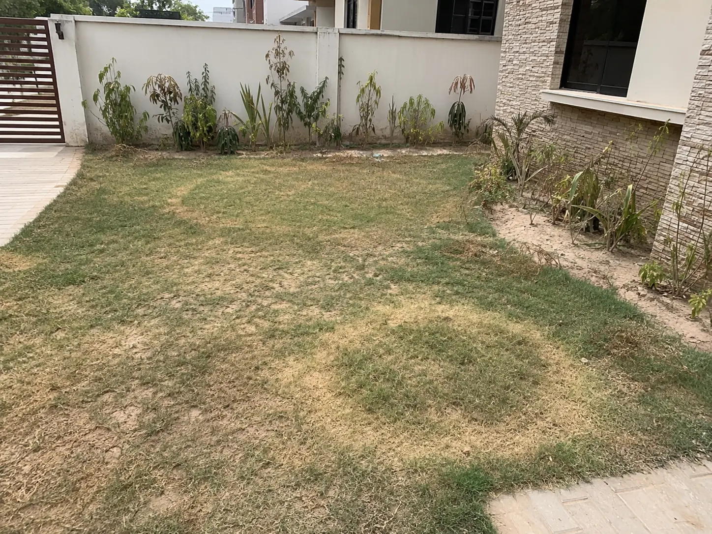 Common landscaping mistakes and a failing lawn in Karachi – Mukhlis Fertigo