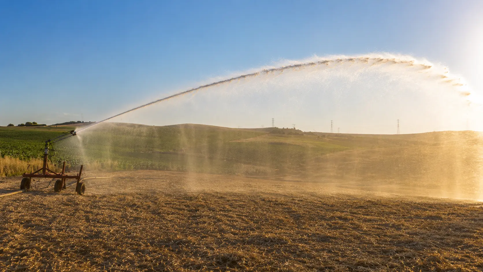 Rain gun irrigating fodder beside a football ground in Karachi – Mukhlis Fertigo